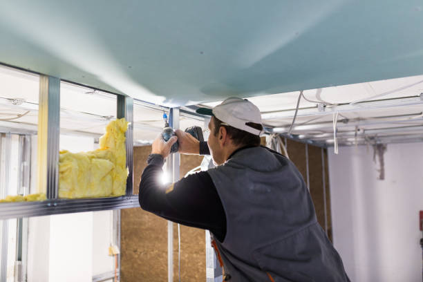 Best Insulation Replacement Services  in Jacksonwald, PA