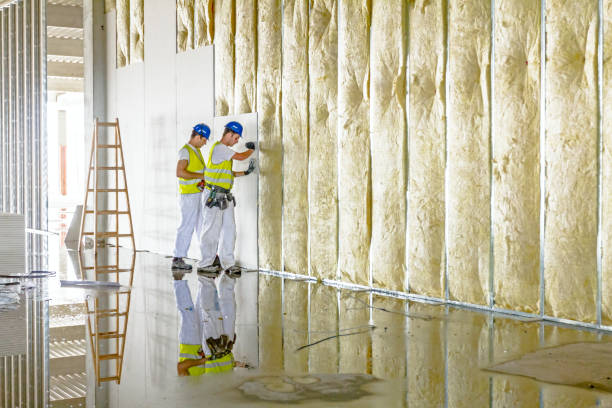 Best Insulation Repair Services  in Jacksonwald, PA
